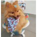 Mini Banheira Pet
